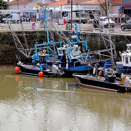 Meschers Service Marine | Nautisme vente neuf et occasion | entretien bateaux port à sec meschers royan charente maritime